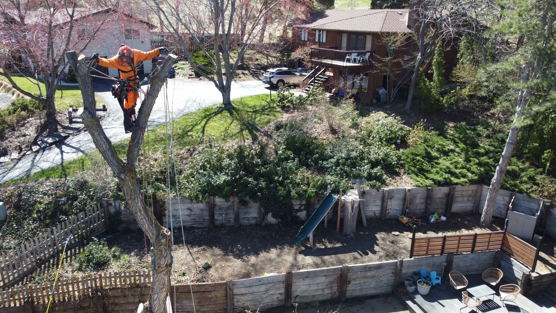 Fire Mitigation & Defensible Space in Boise by Tapson's Tree Service