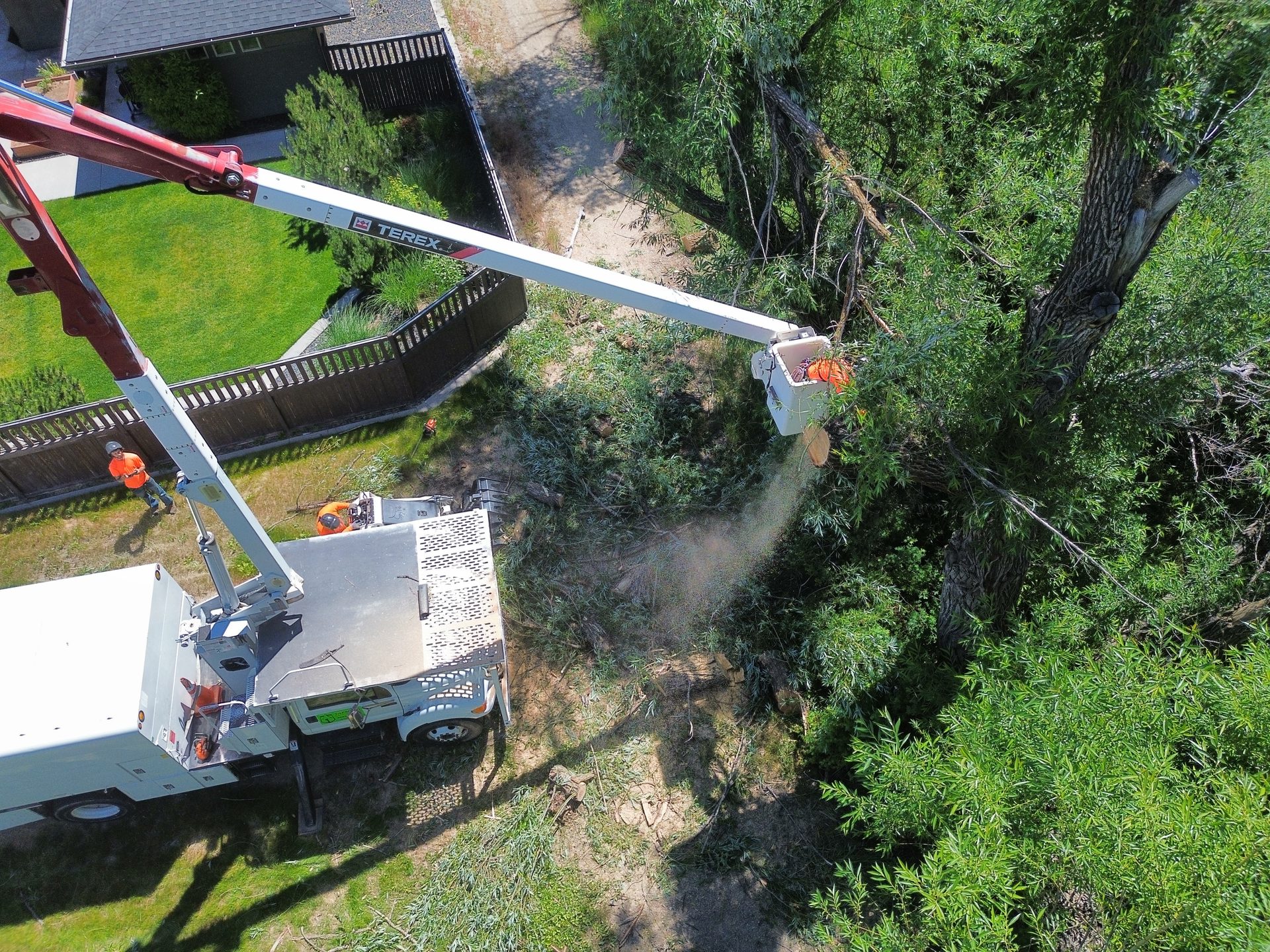 Tree Trimming & Pruning in Boise by Tapson's Tree Service