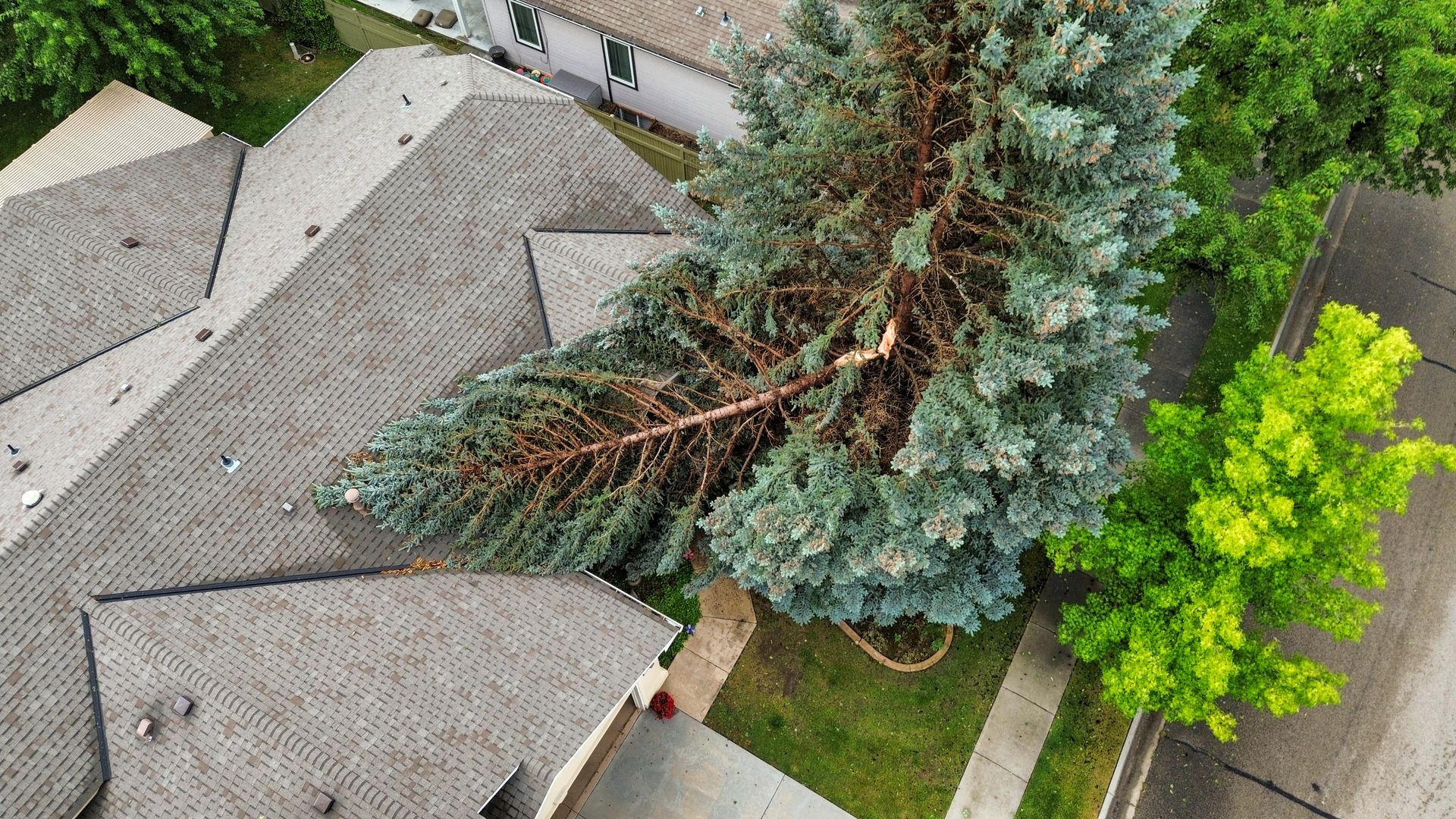 Emergency & Storm Damage in Boise by Tapson's Tree Service