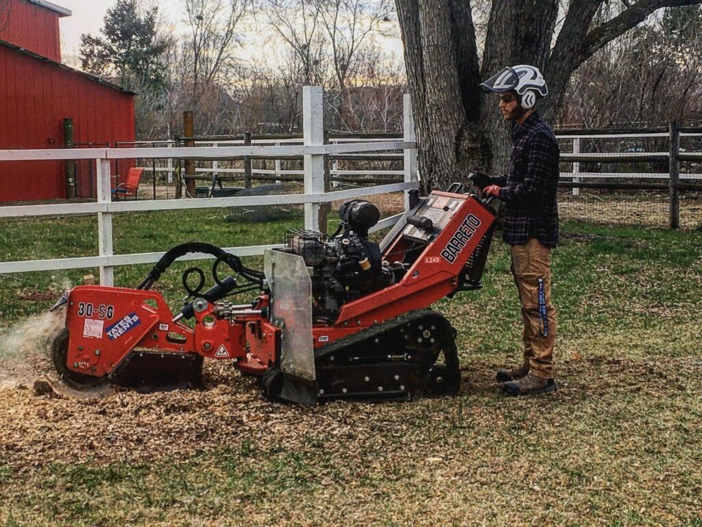 Stump Grinding & Removal in Boise by Tapson's Tree Service