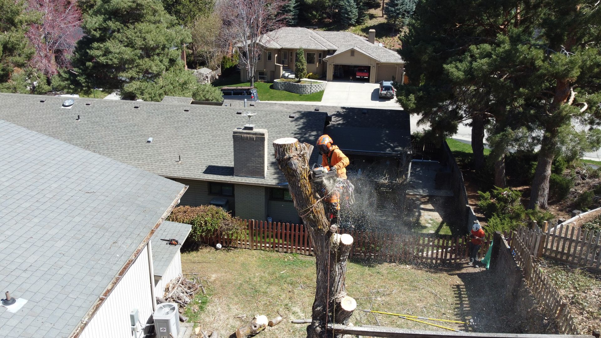 Tree Removal in Boise by Tapson's Tree Service